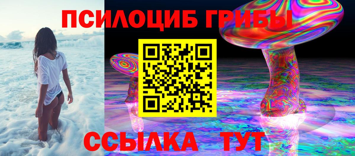 Галлюциногенные грибы Psilocybe  Вход с VPN  Ессентуки 