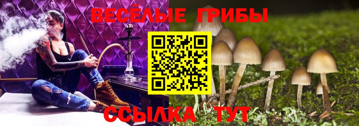 Псилоцибиновые грибы мухоморы Ессентуки