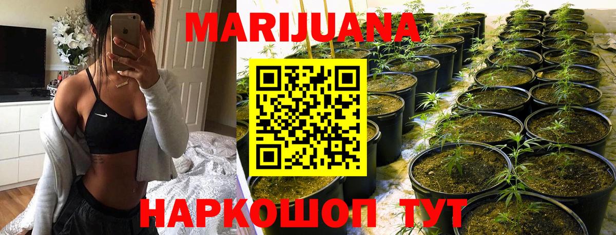 Ессентуки  Канабис Bruce Banner  Шишки марихуана семена  Вход с VPN  Канабис SATIVA & INDICA 